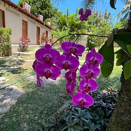 Hotel Da Pipa Praia de Pipa Exterior photo