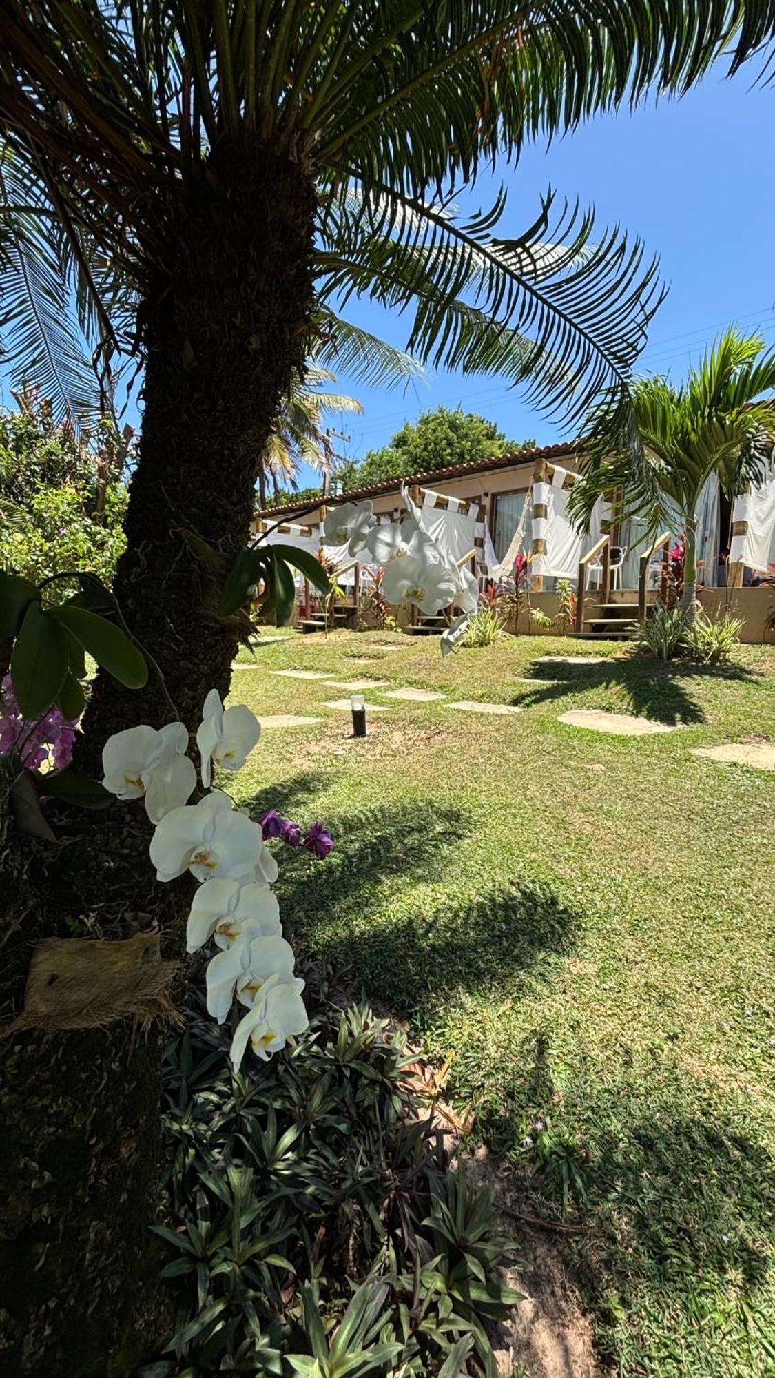Da Pipa Hotel 4*