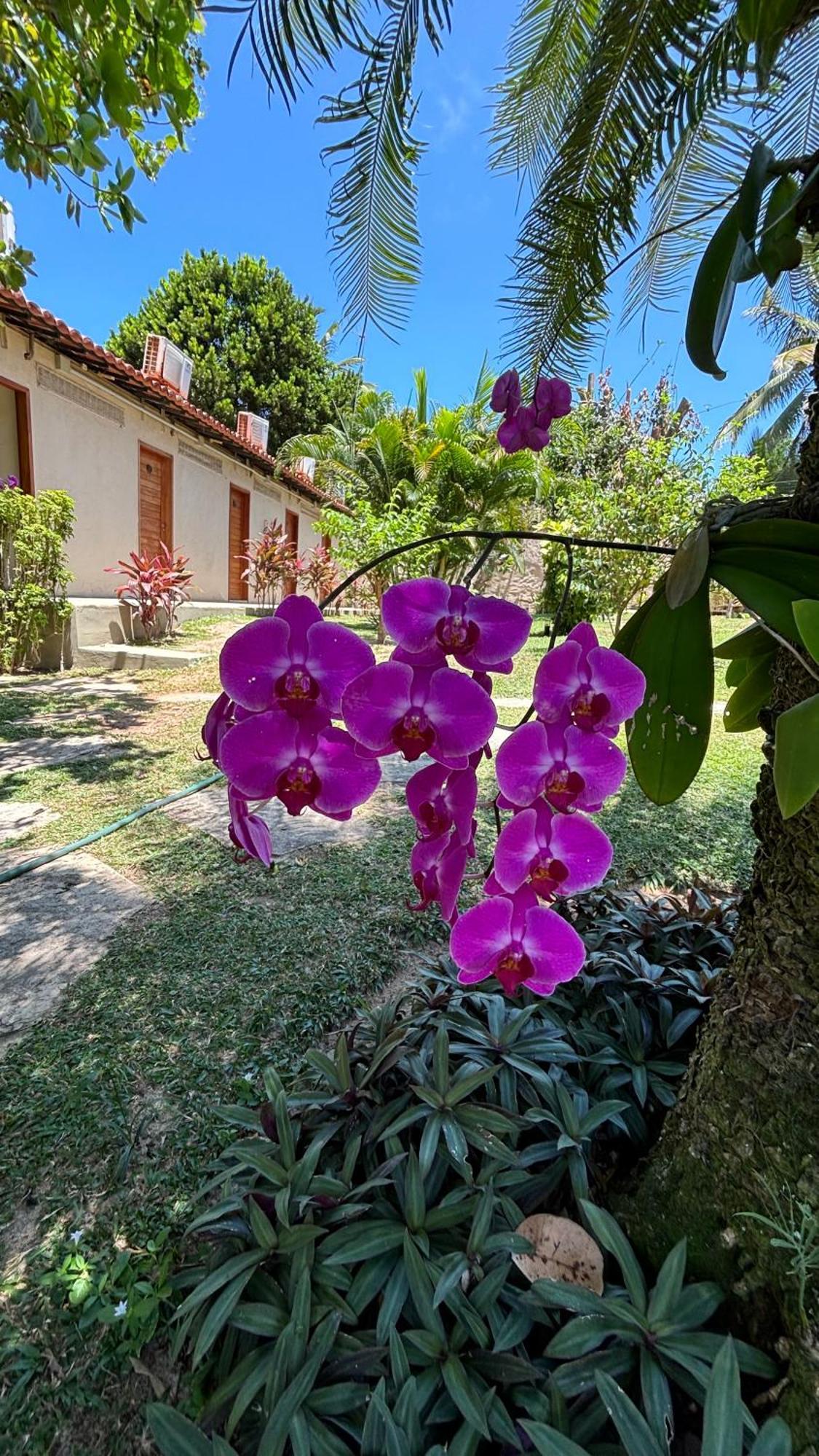 Da Pipa Hotel Praia de Pipa